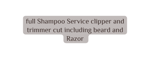 full Shampoo Service clipper and trimmer cut including beard and Razor